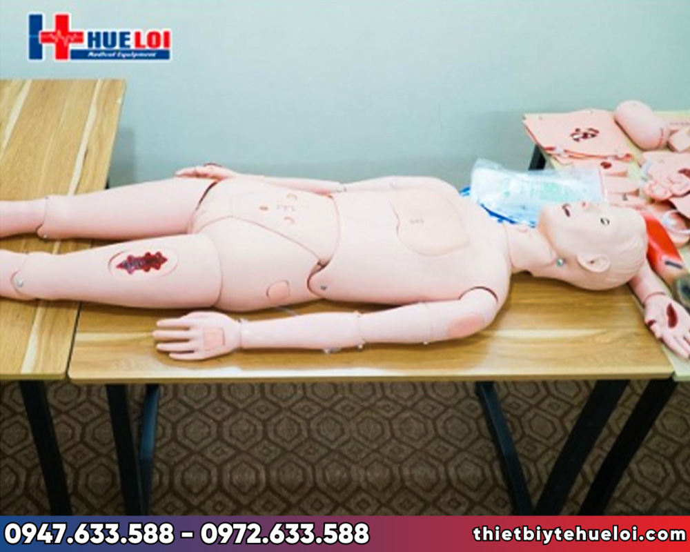 Mô hình các vết thương ngoại khoa